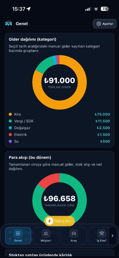 Gider dağılımı ve para akışı grafikleri